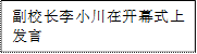 副董事长李小川在开幕式上发言